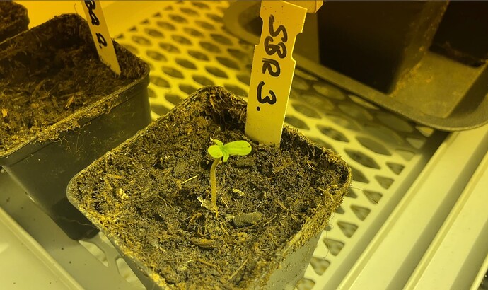 Growreport Bild 9