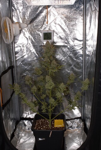 Growreport Bild 8
