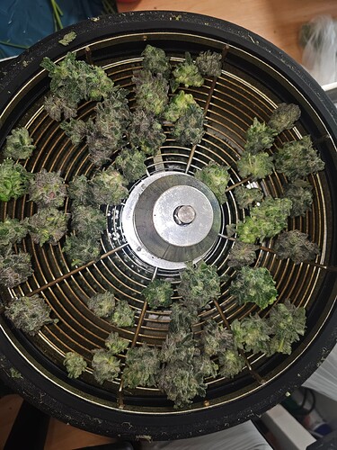 Growreport Bild 2