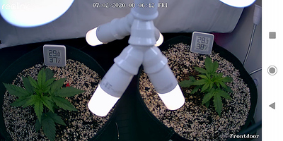 Growreport Bild 5