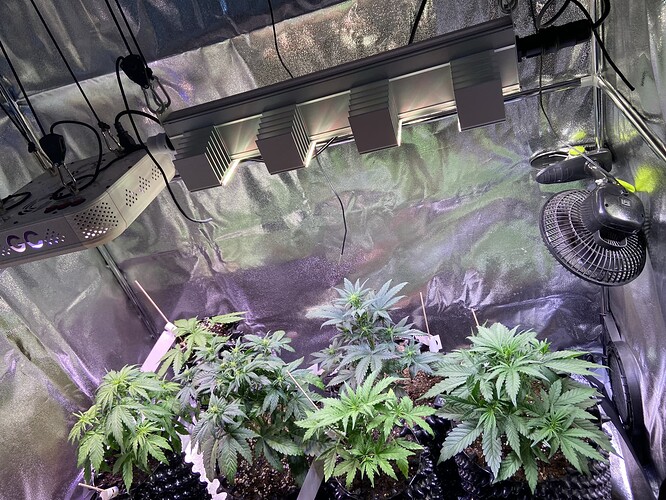 Growreport Bild 3