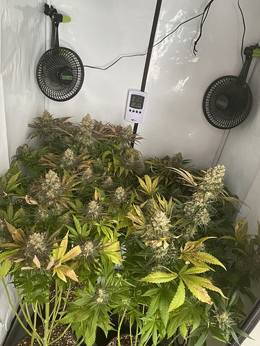 Growreport Bild 6