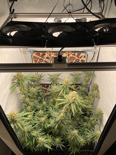 Growreport Bild 11