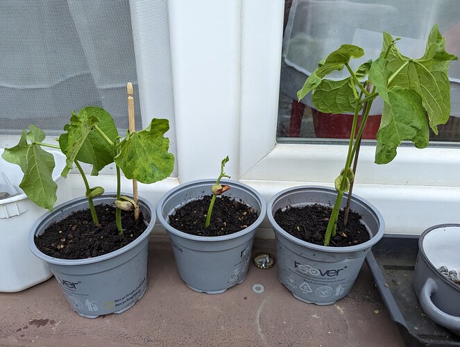 PXL_20230607_191136799