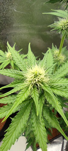 Growreport Bild 10