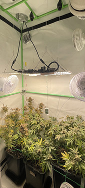 Growreport Bild 9
