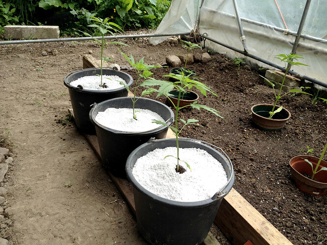 Growreport Bild 22
