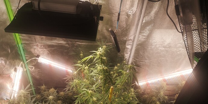 Growreport Bild 13