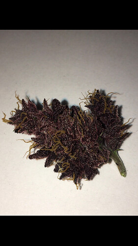 Growreport Bild 1