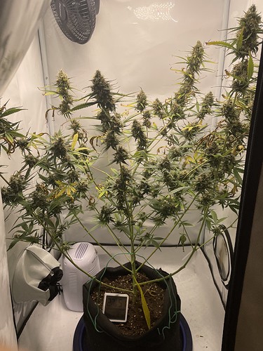 Growreport Bild 14