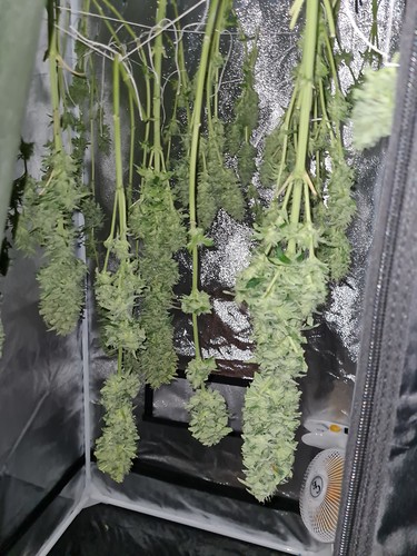 Growreport Bild 3