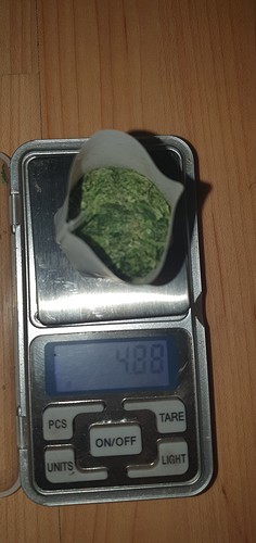 Growreport Bild 8