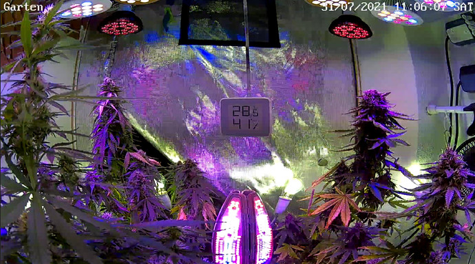 Growreport Bild 3