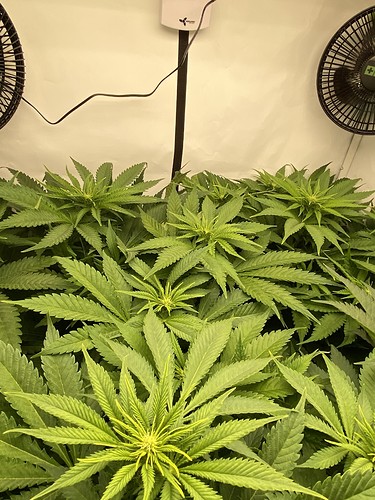 Growreport Bild 8