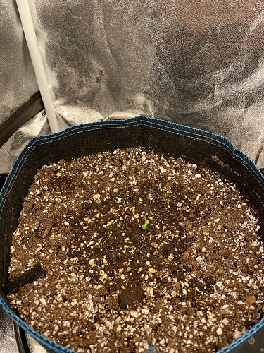 20211001_125003481_iOS