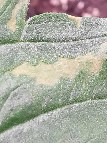 Growreport Bild 11