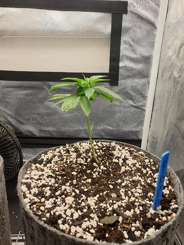 Growreport Bild 10