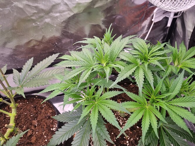 Growreport Bild 22