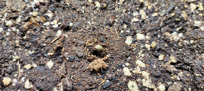 Growreport Bild 5
