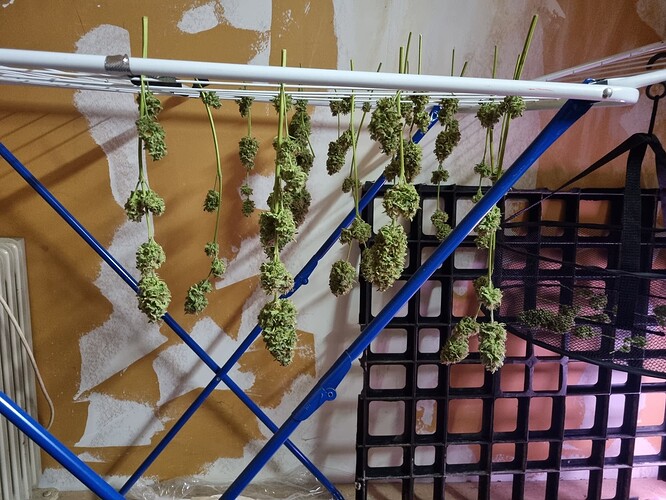 Growreport Bild 1