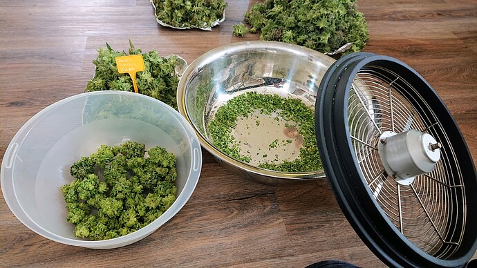 Growreport Bild 9