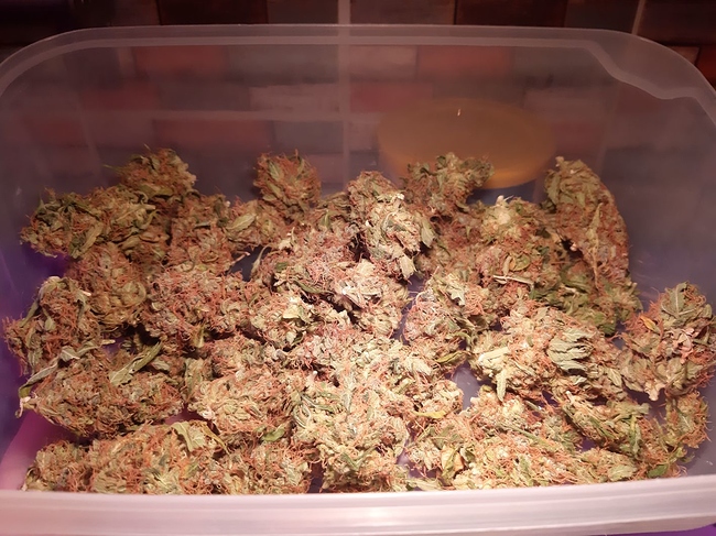 Growreport Bild 18