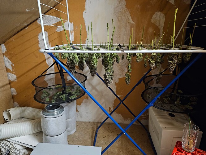 Growreport Bild 11