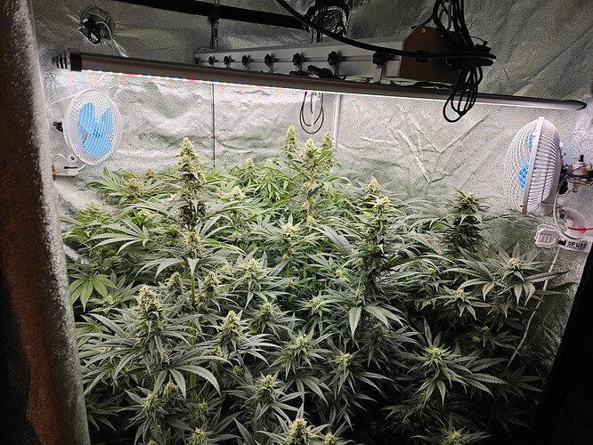 Growreport Bild 10
