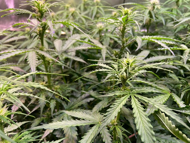 Growreport Bild 15
