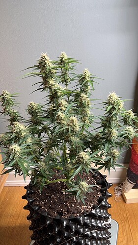 signal-2022-10-24-210734_004