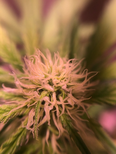 Growreport Bild 47