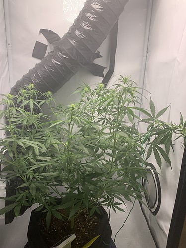 Growreport Bild 11