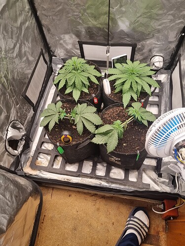 Growreport Bild 16