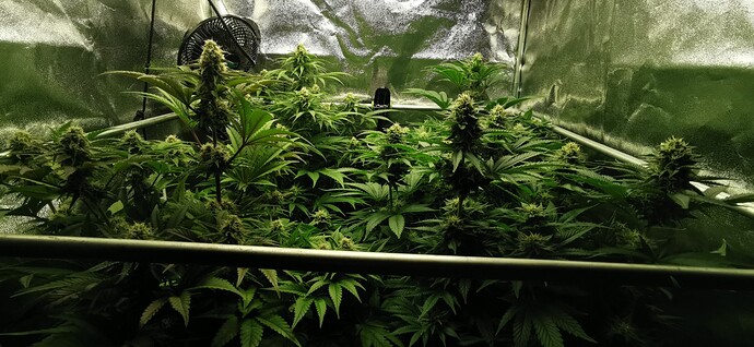 Growreport Bild 12