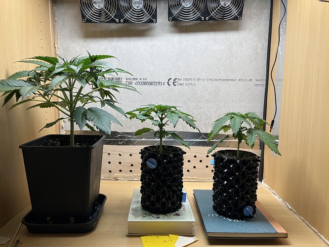 Growreport Bild 2