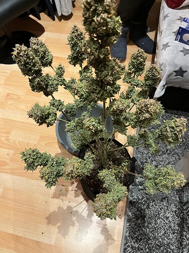 Growreport Bild 47