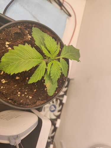 WhatsApp Image 2024-01-24 at 13.51.11 (1)