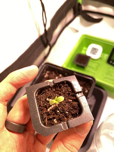 Growreport Bild 16