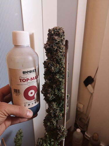 Growreport Bild 7