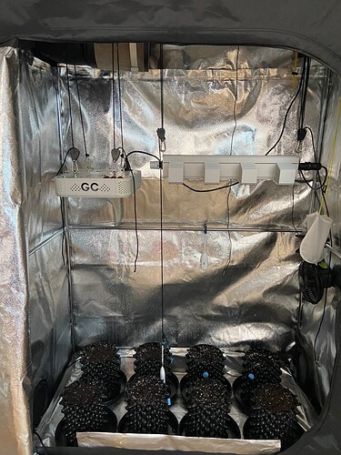 Growreport Bild 13