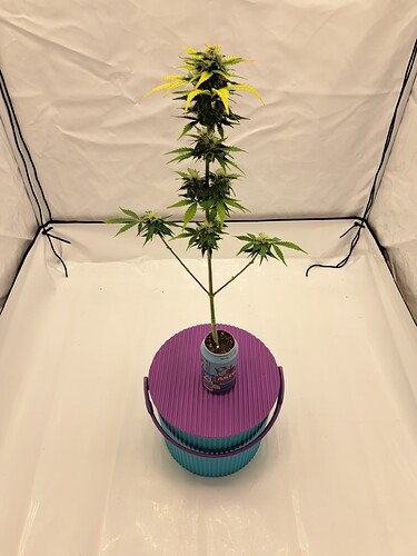 Growreport Bild 3