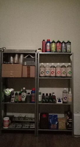 Growreport Bild 43