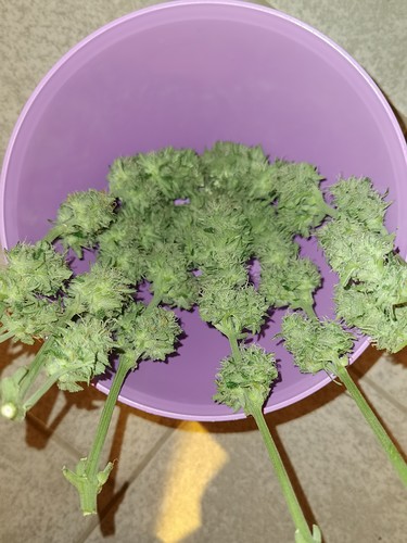 Growreport Bild 21
