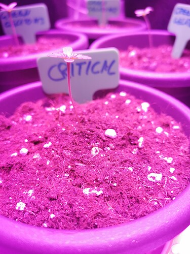 Growreport Bild 16