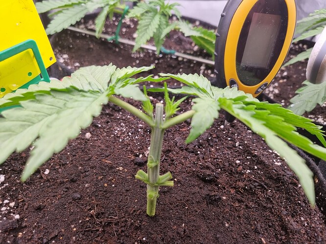 Growreport Bild 16