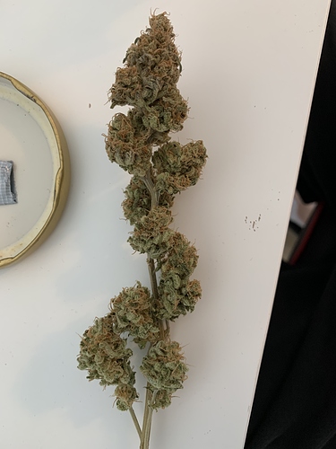 Growreport Bild 2