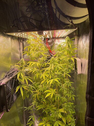 Growreport Bild 1