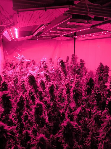Growreport Bild 11