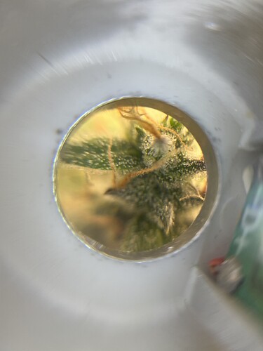 Growreport Bild 22