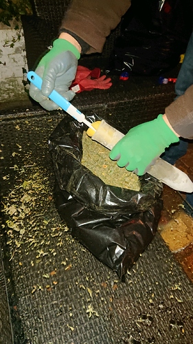 obscura1607875562385